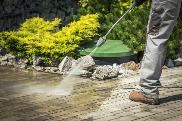 Animal Enclosure Cleaning in Commerce, TX